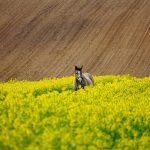 Jak znaleźć odpowiedni zakład pogrzebowy? Poradnik dla osób w żałobie.
